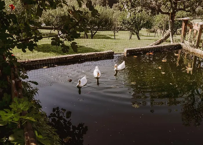 Pazo De Hotel Bendoiro